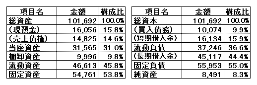 H22(2010)欠損企業BS